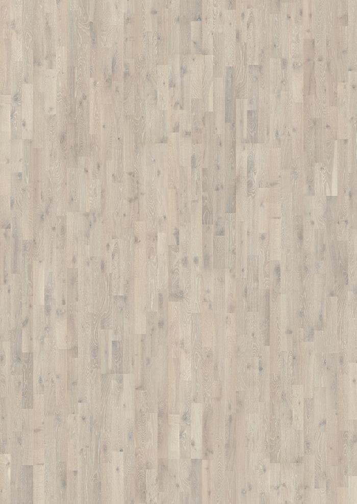 Oak Shell